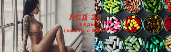 индика Козловка