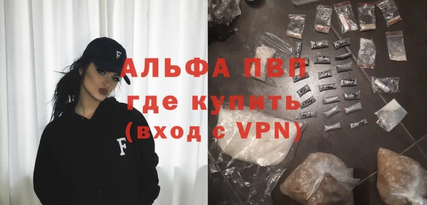 индика Козловка