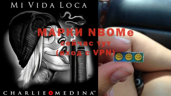 индика Козловка