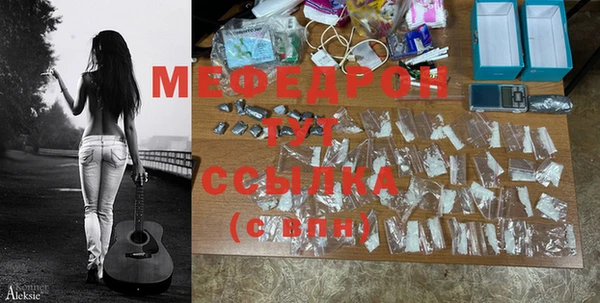 индика Козловка