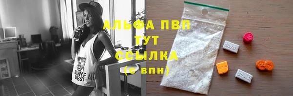 индика Козловка