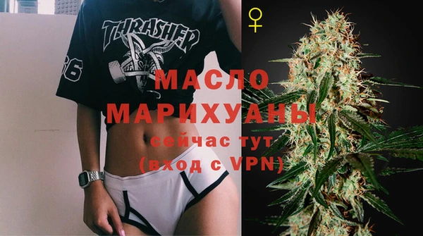 индика Козловка