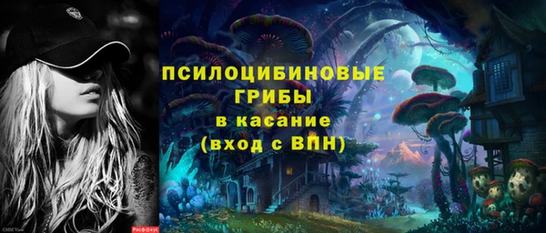 индика Козловка