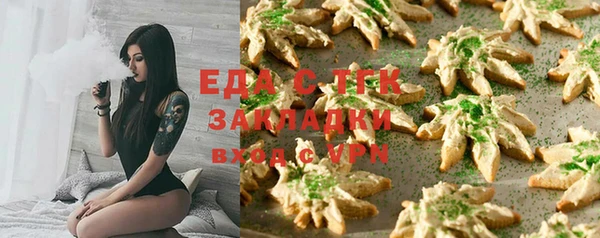 индика Козловка