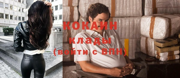 индика Козловка