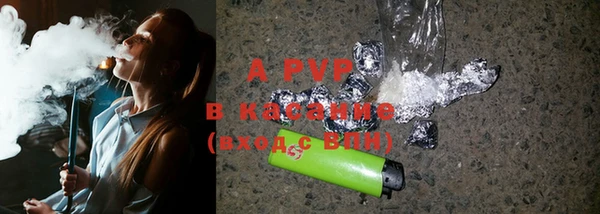 индика Козловка