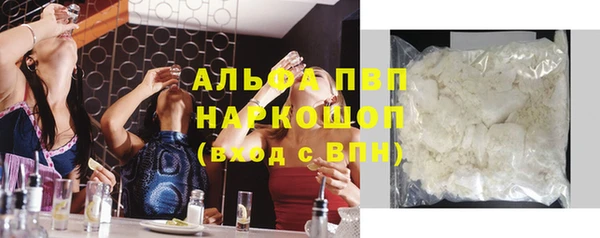 индика Козловка