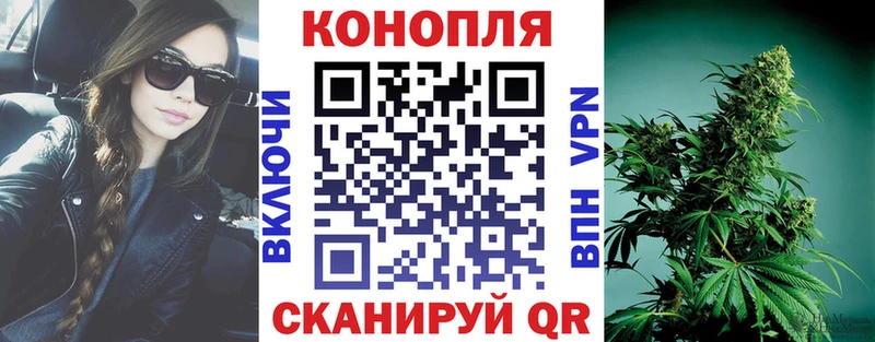 Канабис планчик  Купить закладки  Евпатория 